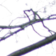 Illustration for article titled Field Notes: Grappling With the Sigma DP1 Quattro's Bizarre Shape